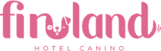Firuland Hotel Canino