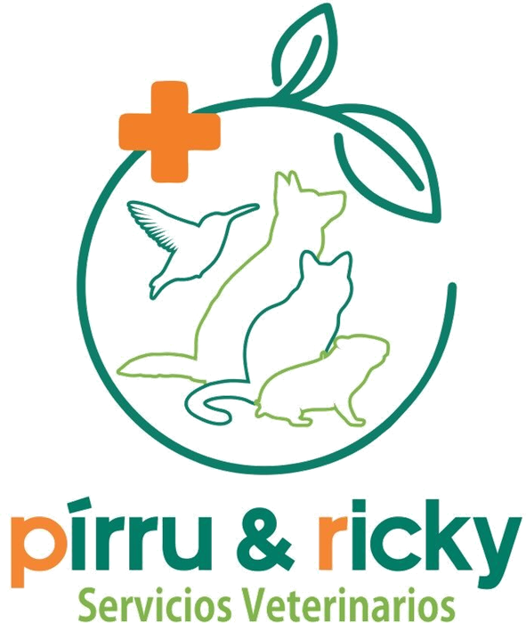Pirru & Ricky