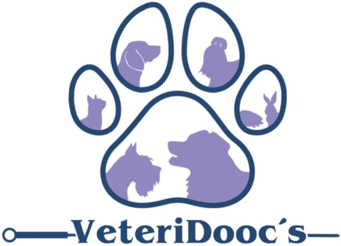 VeteriDooc's