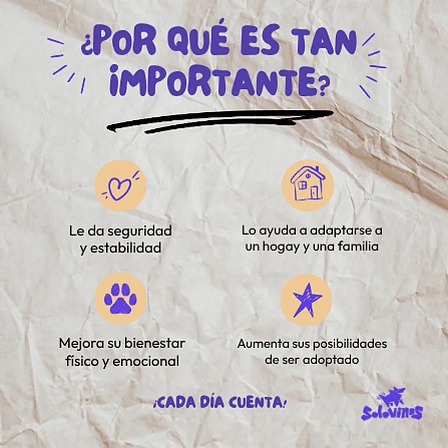 ¿Por qué es tan importante? Le da seguridad y estabilidad, lo ayuda a adaptarse a un hogar y una familia, mejora su bienestar físico y emocional y aumenta sus posibilidades de ser adoptado. ¡Cada día cuenta!