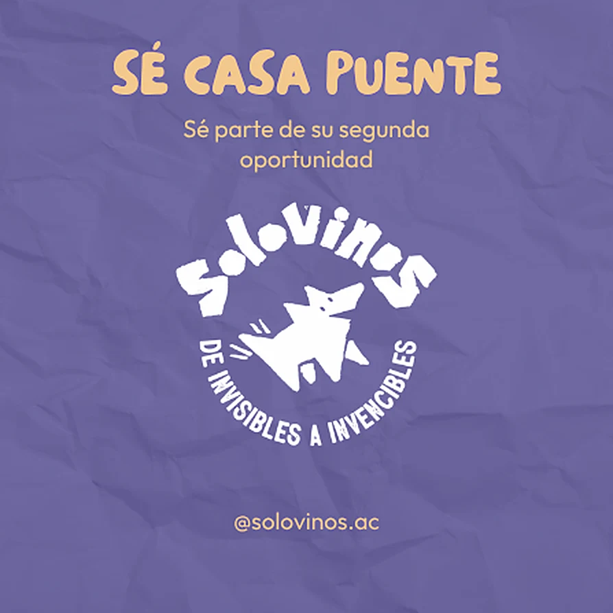 Sé casa puente: sé parte de su segunda oportunidad. @solovinos.ac