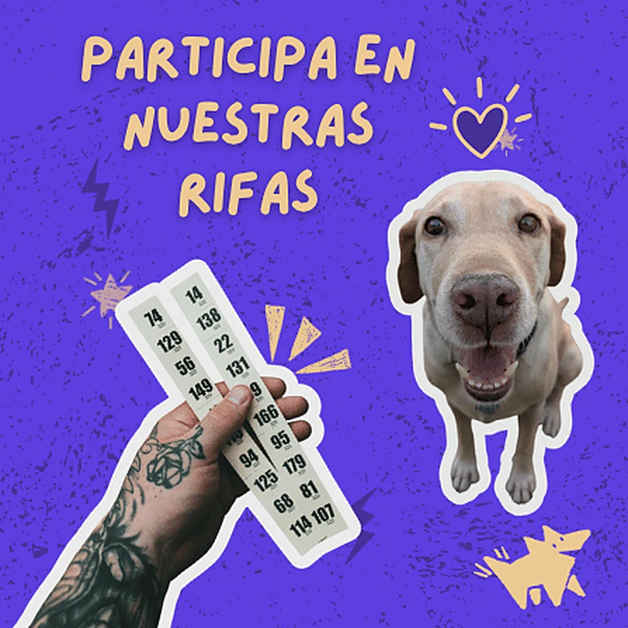 Participa en nuestras rifas.