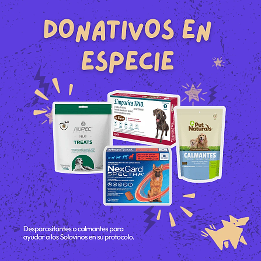Donativos en especie: desparasitantes o calmantes para ayudar a los solovinos en su protocolo.