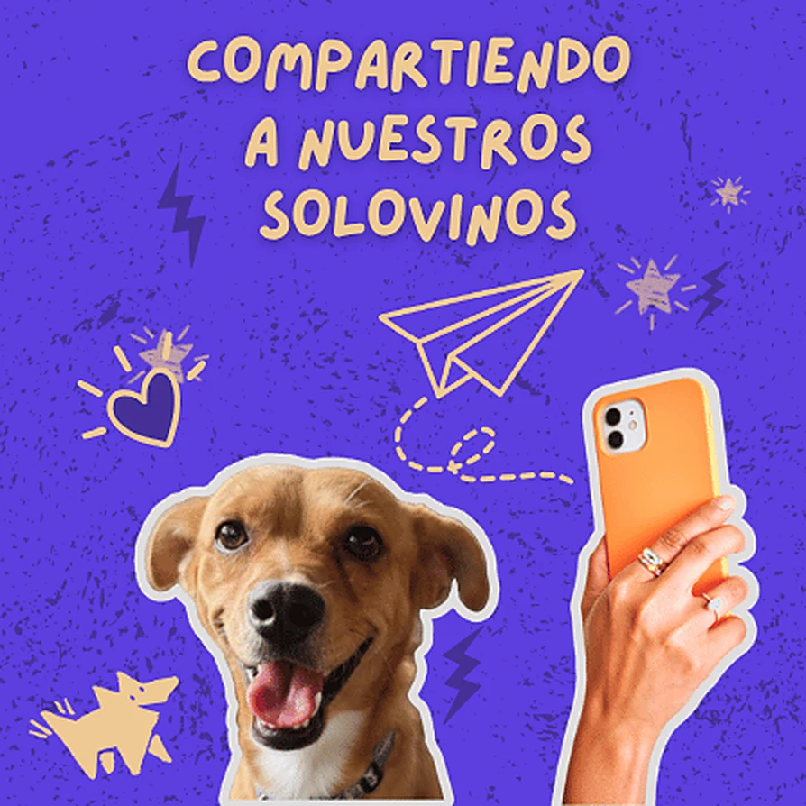 Compartiendo a nuestros solovinos.