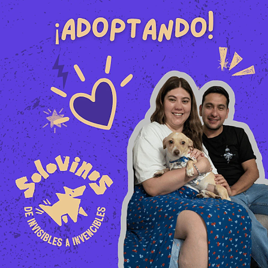 ¡Adoptando!