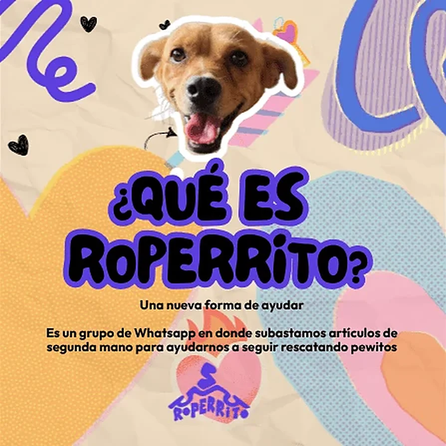 ¿Qué es Roperrito? Una nueva forma de ayudar: es un grupo de WhatsApp en donde subastamos artículos de segunda mano para ayudarnos a seguir rescatando perritos.