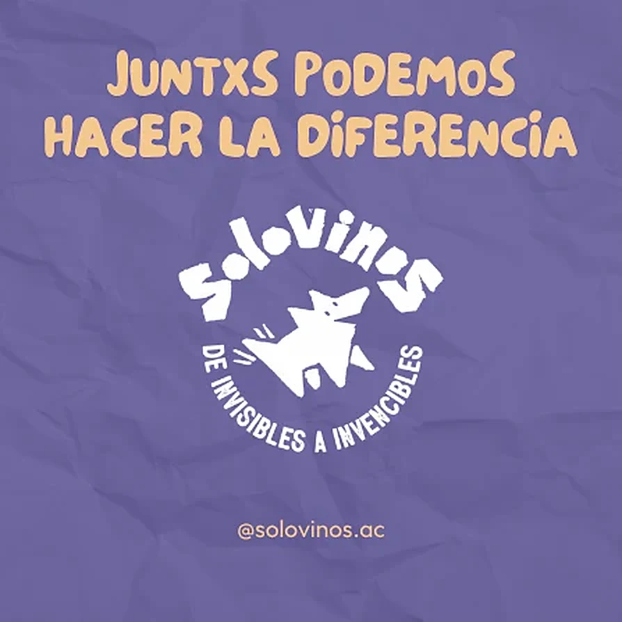 Juntxs podemos hacer la diferencia. Solovinos, de invisibles a invencibles · @solovinos.ac